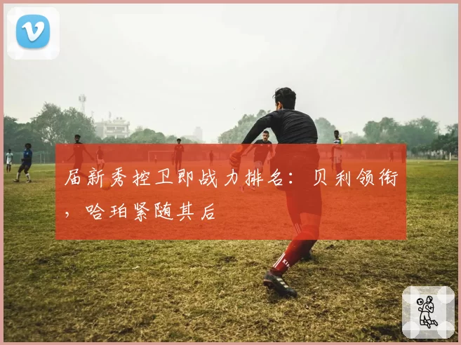 届新秀控卫即战力排名：贝利领衔，哈珀紧随其后