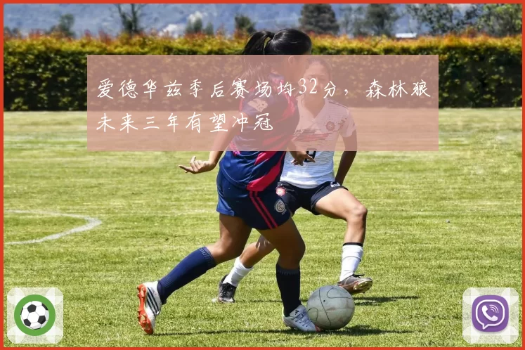 爱德华兹季后赛场均32分，森林狼未来三年有望冲冠